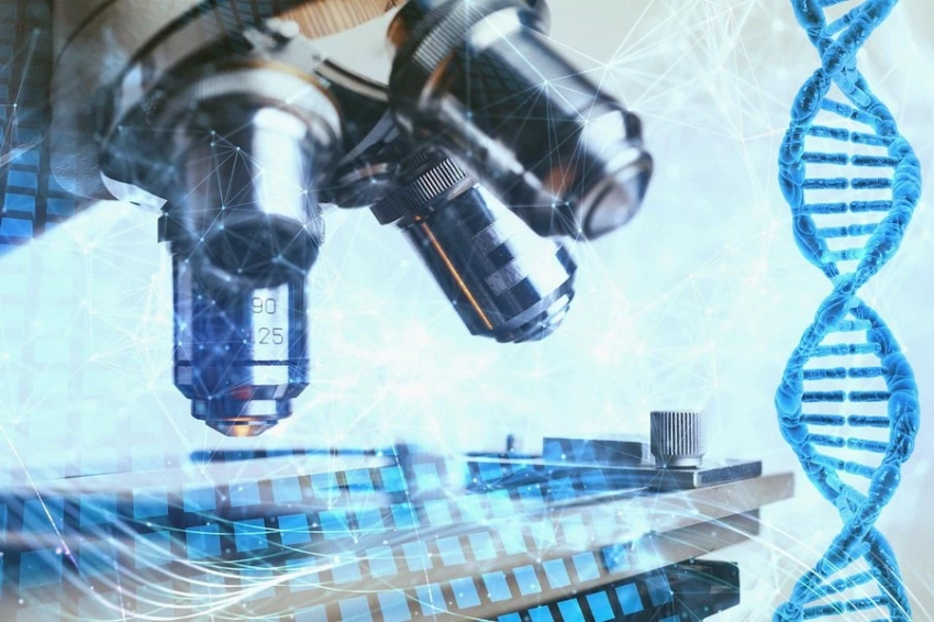 Ученые описали процесс выявления родственных связей через анализ ДНК