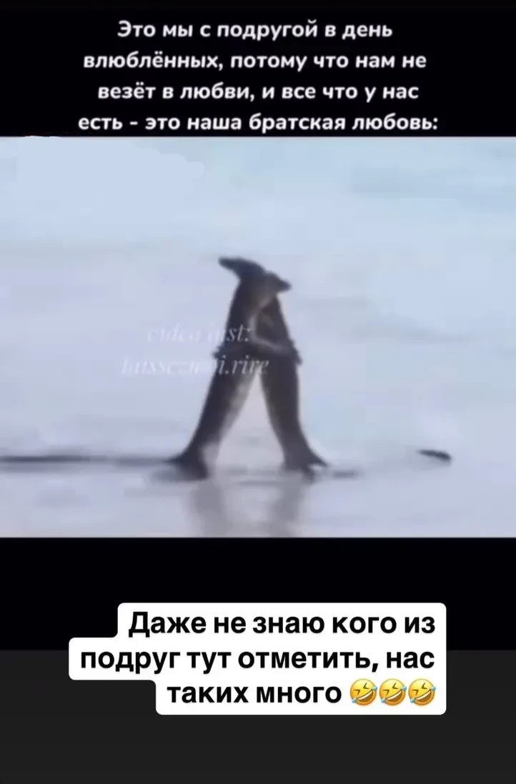 "Нам не везёт в любви". Разведённая Алсу пошутила о своей личной жизни