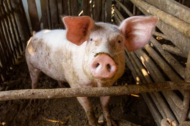 Какие праздники отмечает православная церковь 12 января